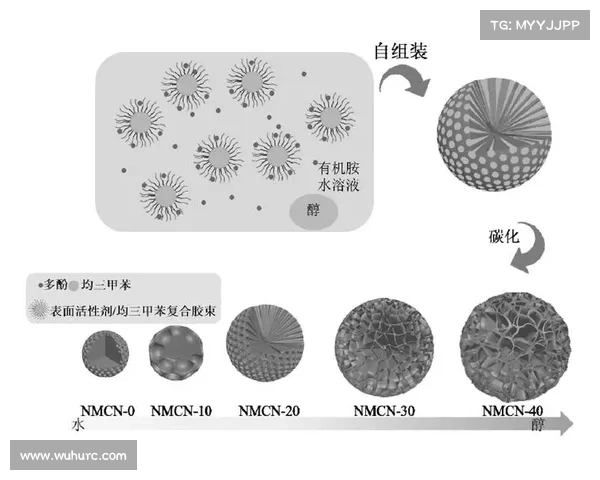 以五木四碳结构为核心探讨新型材料的合成路径与应用前景 以五木四碳结构为核心探讨新型材料的合成路径与应用前景